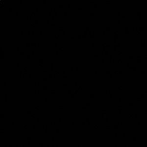 Meet your Posher, Janice